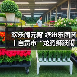 欢乐闹元宵 缤纷乐团圆丨自贡市“龙腾狮跃闹元宵”文体展演活动举行(图3) 欢乐闹元宵 缤纷乐团圆丨自贡市“龙腾狮跃闹元宵”文体展演活动举行(图3)