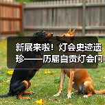 新展来啦！灯会史迹遗珍——历届自贡灯会门票徽章收藏展（图2）