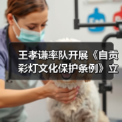 王孝谦率队开展《自贡彩灯文化保护条例》立法调研(图1) 王孝谦率队开展《自贡彩灯文化保护条例》立法调研(图1)