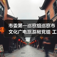 市委第一巡察组巡察市文化广电旅游局党组 工作动员会议召开（图3）