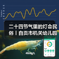 二十四节气里的灯会民俗丨自贡市机关幼儿园走进中国彩灯博物馆(图2) 二十四节气里的灯会民俗丨自贡市机关幼儿园走进中国彩灯博物馆(图2)