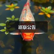 巡察公告(图3) 巡察公告(图3)