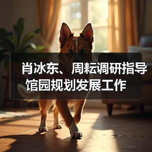 肖冰东、周耘调研指导馆园规划发展工作(图1) 肖冰东、周耘调研指导馆园规划发展工作(图1)