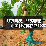 欢度国庆,共赏非遗——中国彩灯博物馆2022年国庆假日文旅市场情况综述(图3) 欢度国庆,共赏非遗——中国彩灯博物馆2022年国庆假日文旅市场情况综述(图3)