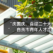 “庆国庆、喜迎二十大”,自贡市青年人才走进中国彩灯博物馆(图2) “庆国庆、喜迎二十大”,自贡市青年人才走进中国彩灯博物馆(图2)