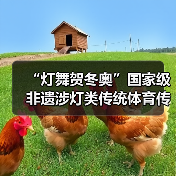 “灯舞贺冬奥”国家级非遗涉灯类传统体育传统舞蹈项目线上展示活动之二十:地龙灯(图3) “灯舞贺冬奥”国家级非遗涉灯类传统体育传统舞蹈项目线上展示活动之二十:地龙灯(图3)