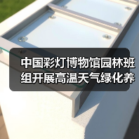 中国彩灯博物馆园林班组开展高温天气绿化养护工作(图4) 中国彩灯博物馆园林班组开展高温天气绿化养护工作(图4)