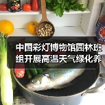 中国彩灯博物馆园林班组开展高温天气绿化养护工作(图1) 中国彩灯博物馆园林班组开展高温天气绿化养护工作(图1)