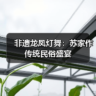 非遗龙凤灯舞:苏家作传统民俗盛宴(图3) 非遗龙凤灯舞:苏家作传统民俗盛宴(图3)
