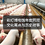 彩灯博物馆年度回顾：文化亮点与历史故事（图4）