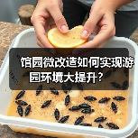 馆园微改造如何实现游园环境大提升?(图2) 馆园微改造如何实现游园环境大提升?(图2)