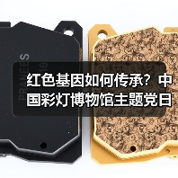 红色基因如何传承？中国彩灯博物馆主题党日活动引深思（图1）