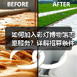 如何加入彩灯博物馆志愿服务？详解招募条件与服务内容（图1）