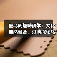 爱鸟周趣味研学:文化自然融合,灯博探秘鸟世界(图4) 爱鸟周趣味研学:文化自然融合,灯博探秘鸟世界(图4)