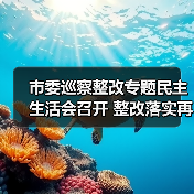 市委巡察整改专题民主生活会召开 整改落实再加力(图2) 市委巡察整改专题民主生活会召开 整改落实再加力(图2)