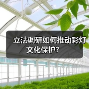立法调研如何推动彩灯文化保护?(图4) 立法调研如何推动彩灯文化保护?(图4)