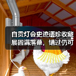 自贡灯会史迹遗珍收藏展圆满落幕，错过仍可观看讲解（图3）