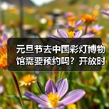 元旦节去中国彩灯博物馆需要预约吗?开放时间公布(图4) 元旦节去中国彩灯博物馆需要预约吗?开放时间公布(图4)