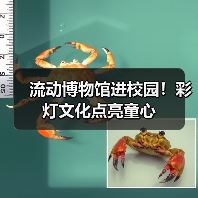 流动博物馆进校园!彩灯文化点亮童心(图4) 流动博物馆进校园!彩灯文化点亮童心(图4)