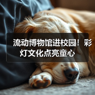 流动博物馆进校园!彩灯文化点亮童心(图1) 流动博物馆进校园!彩灯文化点亮童心(图1)