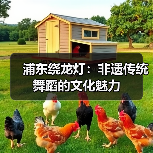 浦东绕龙灯:非遗传统舞蹈的文化魅力(图1) 浦东绕龙灯:非遗传统舞蹈的文化魅力(图1)
