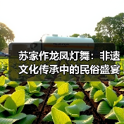 苏家作龙凤灯舞:非遗文化传承中的民俗盛宴(图3) 苏家作龙凤灯舞:非遗文化传承中的民俗盛宴(图3)