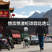 恒温恒湿柜项目比选公告（图4）