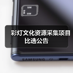 彩灯文化资源采集项目比选公告（图2）