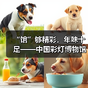 “馆”够精彩,年味十足——中国彩灯博物馆新春人气旺(图1) “馆”够精彩,年味十足——中国彩灯博物馆新春人气旺(图1)