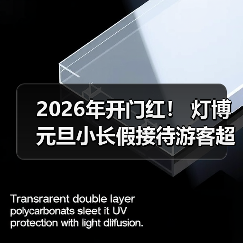 2026年开门红！ 灯博元旦小长假接待游客超2万人次！（图4）