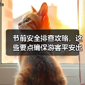 节前安全排查攻略，这些要点确保游客平安出行（图4）