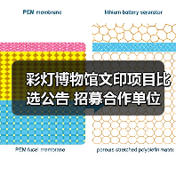 彩灯博物馆文印项目比选公告 招募合作单位（图3）