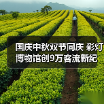 国庆中秋双节同庆 彩灯博物馆创9万客流新纪录(图2) 国庆中秋双节同庆 彩灯博物馆创9万客流新纪录(图2)