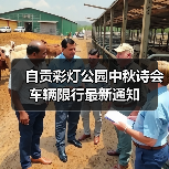 自贡彩灯公园中秋诗会车辆限行最新通知(图1) 自贡彩灯公园中秋诗会车辆限行最新通知(图1)