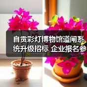 自贡彩灯博物馆道闸系统升级招标 企业报名参与(图1) 自贡彩灯博物馆道闸系统升级招标 企业报名参与(图1)