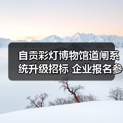 自贡彩灯博物馆道闸系统升级招标 企业报名参与(图3) 自贡彩灯博物馆道闸系统升级招标 企业报名参与(图3)