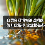 自贡彩灯博物馆道闸系统升级招标 企业报名参与(图2) 自贡彩灯博物馆道闸系统升级招标 企业报名参与(图2)