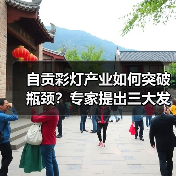 自贡彩灯产业如何突破瓶颈?专家提出三大发展建议(图4) 自贡彩灯产业如何突破瓶颈?专家提出三大发展建议(图4)