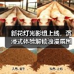 新花灯光影组上线,沉浸式体验解锁浪漫氛围(图2) 新花灯光影组上线,沉浸式体验解锁浪漫氛围(图2)