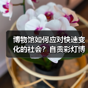 博物馆如何应对快速变化的社会?自贡彩灯博物馆展现创新发展之路(图4) 博物馆如何应对快速变化的社会?自贡彩灯博物馆展现创新发展之路(图4)