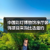 中国彩灯博物馆序厅装饰项目采购比选邀约(图2) 中国彩灯博物馆序厅装饰项目采购比选邀约(图2)