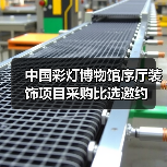 中国彩灯博物馆序厅装饰项目采购比选邀约(图4) 中国彩灯博物馆序厅装饰项目采购比选邀约(图4)
