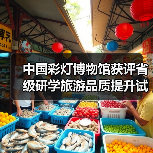 中国彩灯博物馆获评省级研学旅游品质提升试点，特色课程如何助力文化传承？（图4）