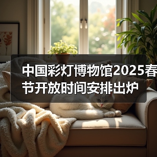 中国彩灯博物馆2025春节开放时间安排出炉(图2) 中国彩灯博物馆2025春节开放时间安排出炉(图2)