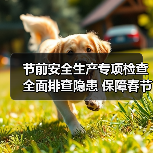 节前安全生产专项检查全面排查隐患 保障春节假期安全运行(图3) 节前安全生产专项检查全面排查隐患 保障春节假期安全运行(图3)