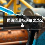恒温恒湿柜项目比选公告（图4）