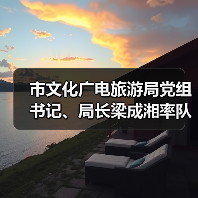 市文化广电旅游局党组书记、局长梁成湘率队调研馆园发展工作（图1）