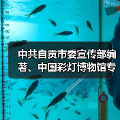 中共自贡市委宣传部编著、中国彩灯博物馆专业团队撰文的《自贡灯会》新书首发!(图4) 中共自贡市委宣传部编著、中国彩灯博物馆专业团队撰文的《自贡灯会》新书首发!(图4)