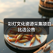 彩灯文化资源采集项目比选公告（图3）
