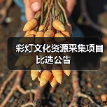 彩灯文化资源采集项目比选公告（图4）
